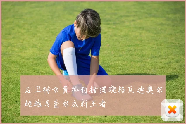 后卫转会费排行榜揭晓格瓦迪奥尔超越马奎尔成新王者